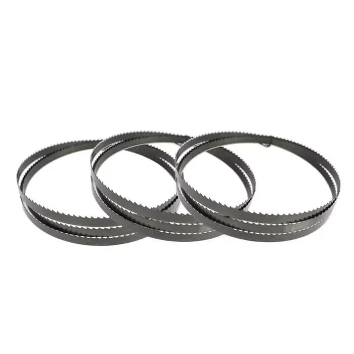 Lame de scie à ruban pour Einhell SB200 Scheppach HBS20