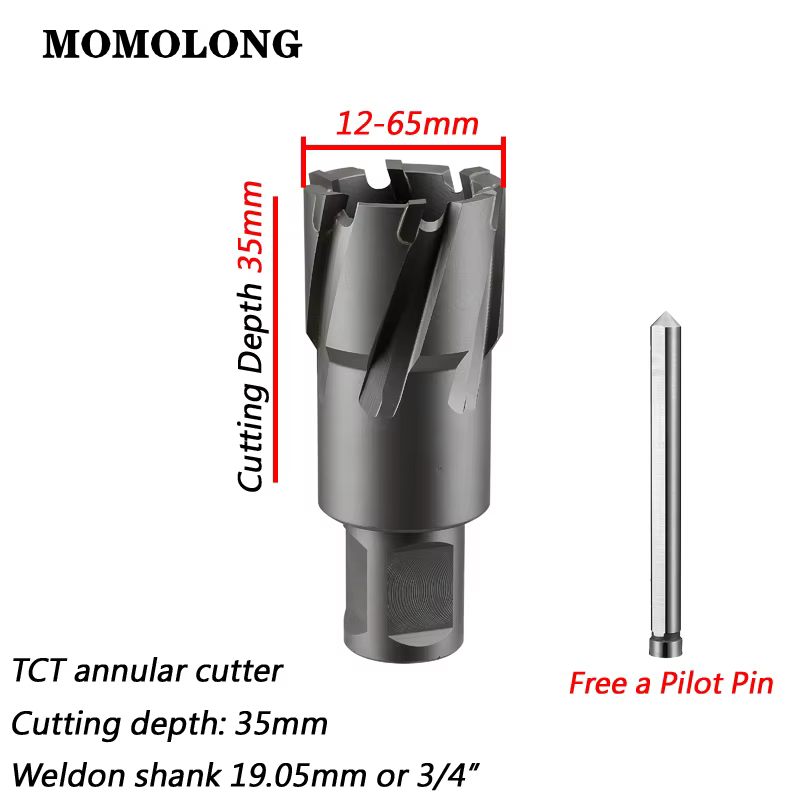 Foret magnétique en carbure pour scie cloche à métaux, fraise annulaire TCT, tige Weldon 3/4 ", 12-6
