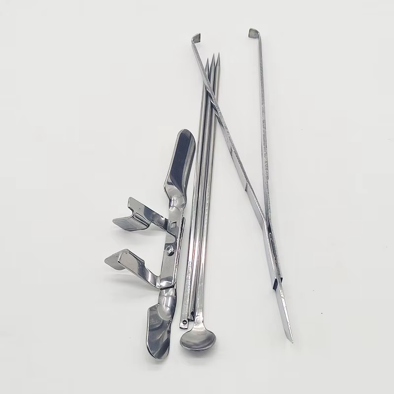 1 ensemble d'outils de Castration de poulet en acier inoxydable, grand poulet pour bébé poussin, coq