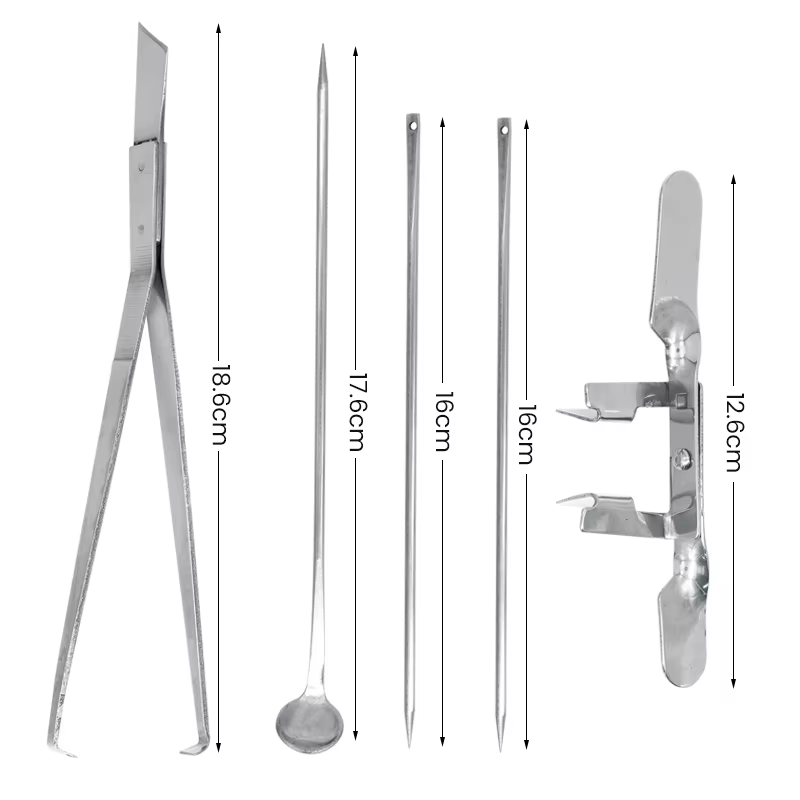 1 ensemble d'outils de casttration de poulet en acier inoxydable, grand poulet professionnel pour bé