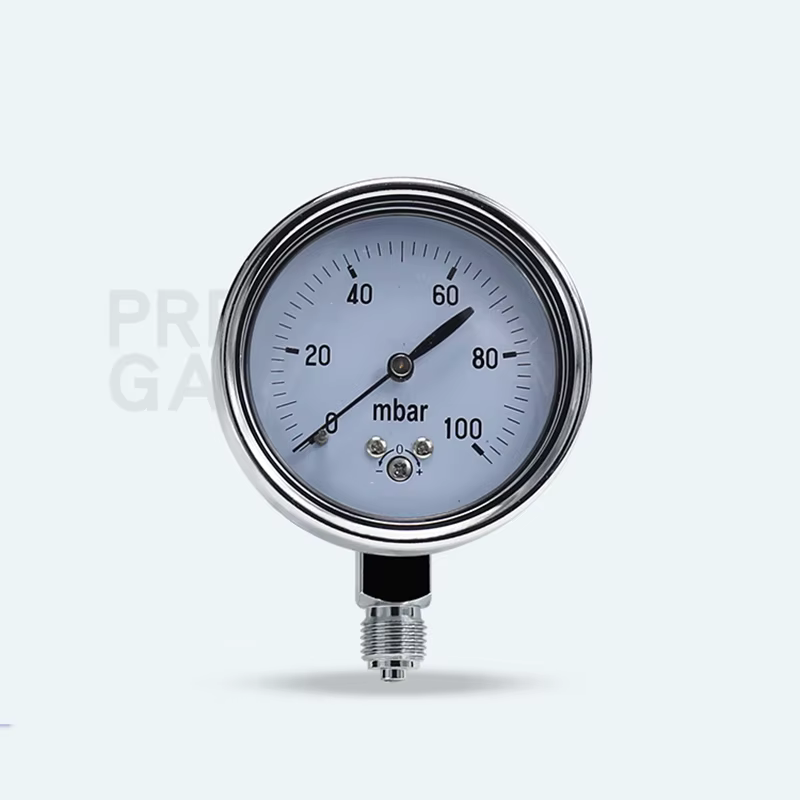 Jauge de pression de gaz réglable, manomètre calibrable, 50mbar, 60mbar, 100mbar
