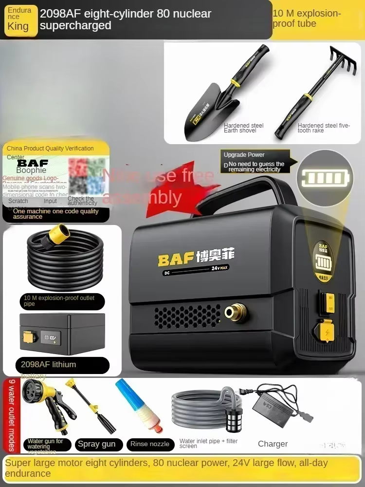 Pompe à eau Rechargeable portative 110V/220V pour l'irrigation et la plantation de jardin CBA