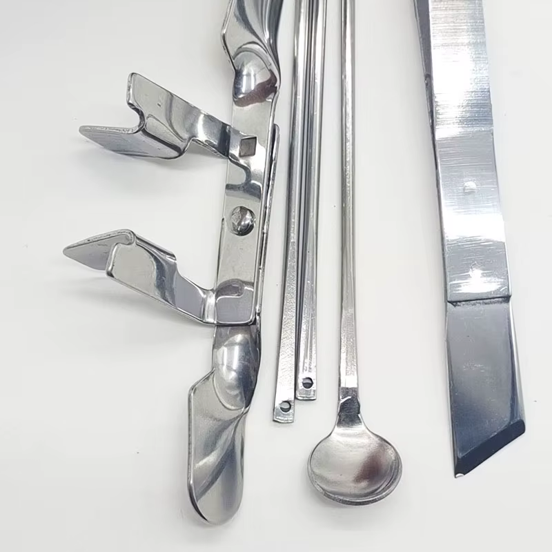 1 ensemble d'outils de Castration de poulet en acier inoxydable, grand poulet pour bébé poussin, coq, ensemble de cinq pièces, outils de ferme de volaille