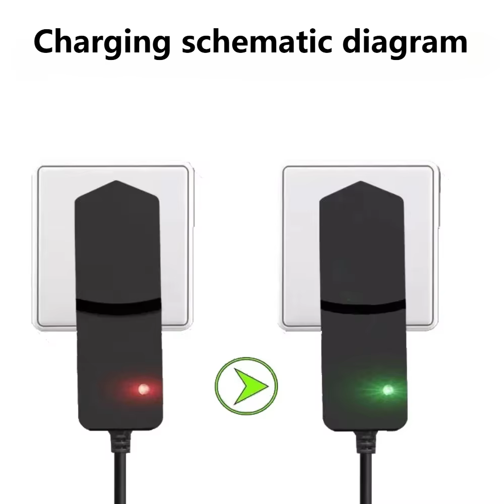 Chargeur de batterie au Lithium 12V
