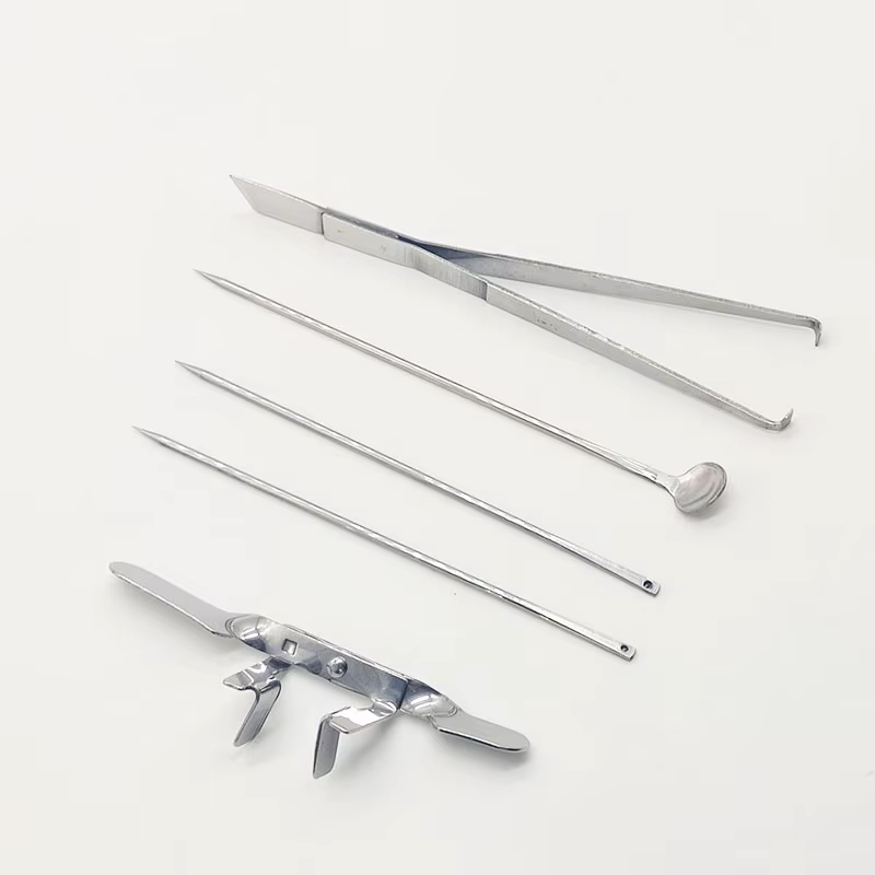 1 ensemble d'outils de Castration de poulet en acier inoxydable, grand poulet pour bébé poussin, coq, ensemble de cinq pièces, outils de ferme de volaille