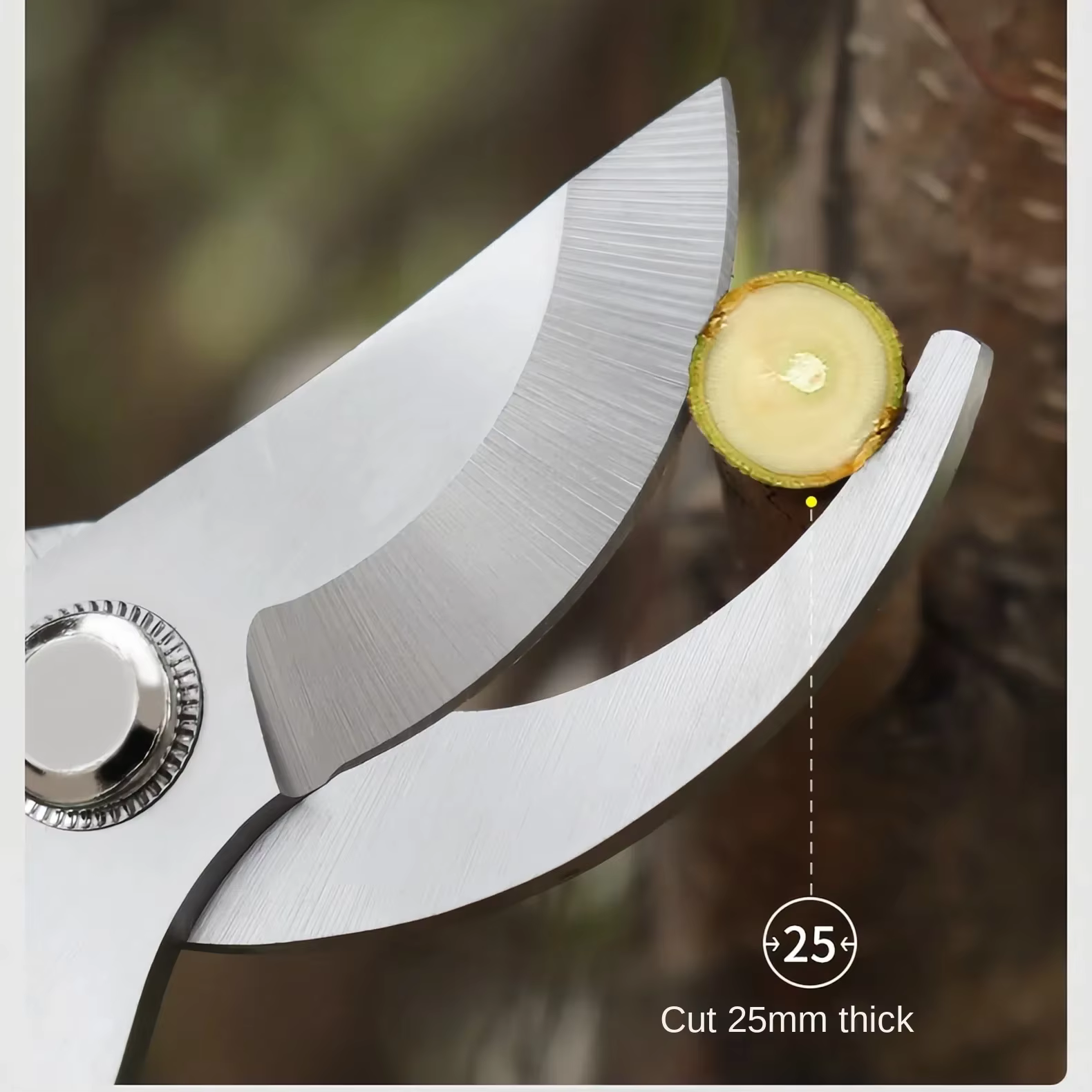 Sécateur de jardin professionnel avec lames en acier SK-5, coupe robuste et sans effort pour grandes branches d'arbres fruitiers