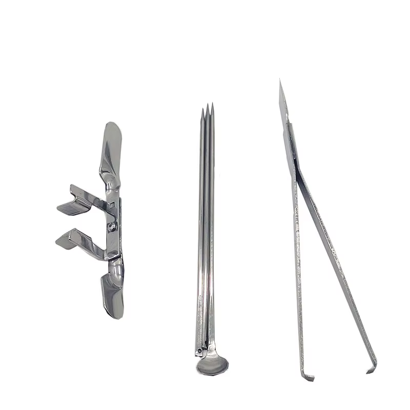 1 ensemble d'outils de Castration de poulet en acier inoxydable, grand poulet pour bébé poussin, coq, ensemble de cinq pièces, outils de ferme de volaille