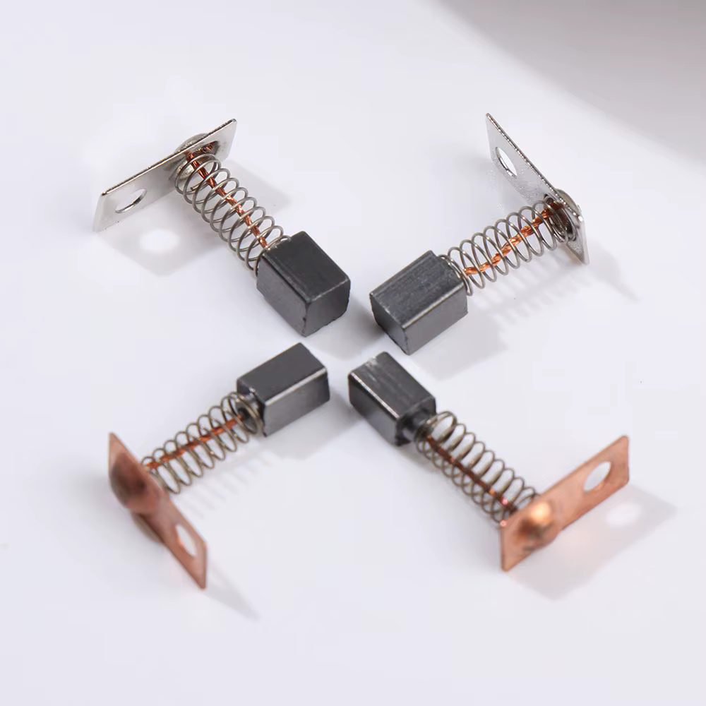 Brosse en carbone universelle pour ponceuse électrique