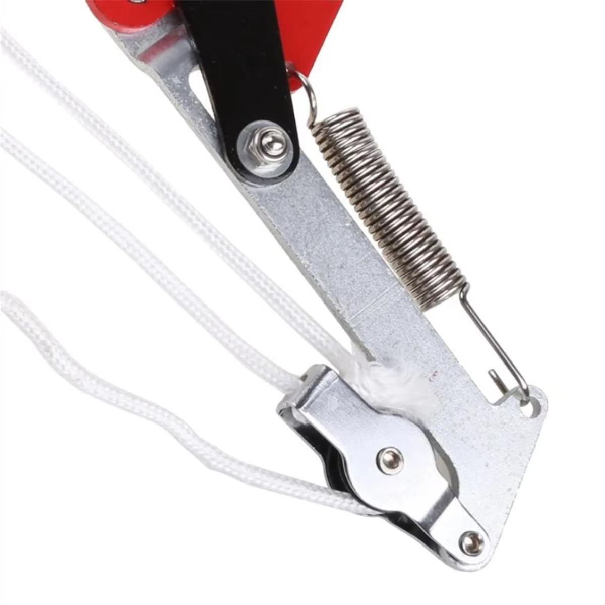 Ciseaux extensibles de branche d'éplucheur d'extension de haute altitude