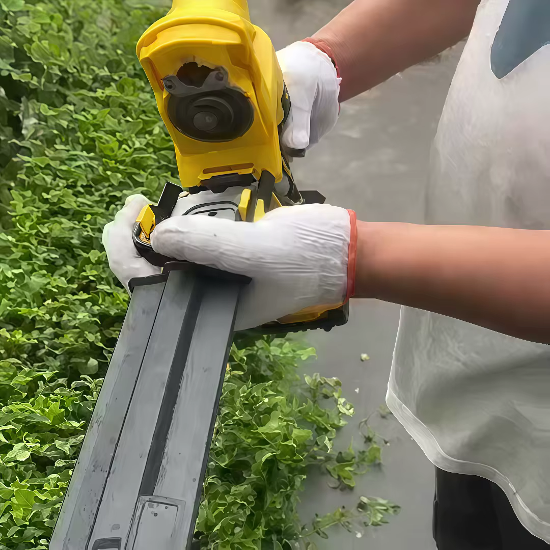 Taille-haie électrique 2 en 1