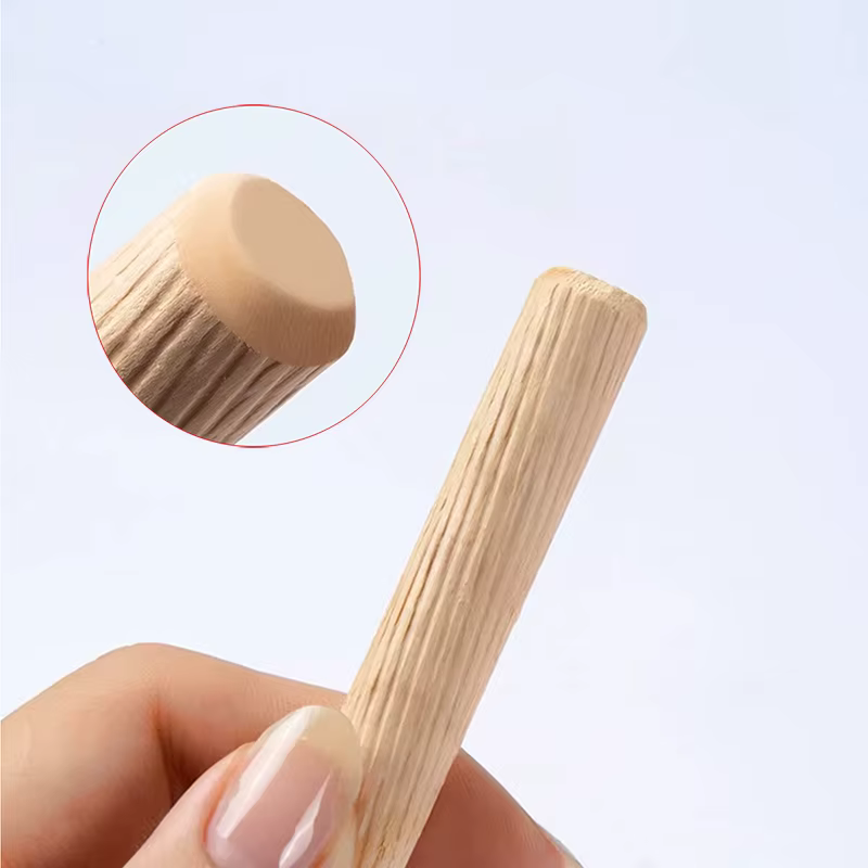 10 pièces 6mm8mm10mm mortaise en bois et Tenon Eucalyptus