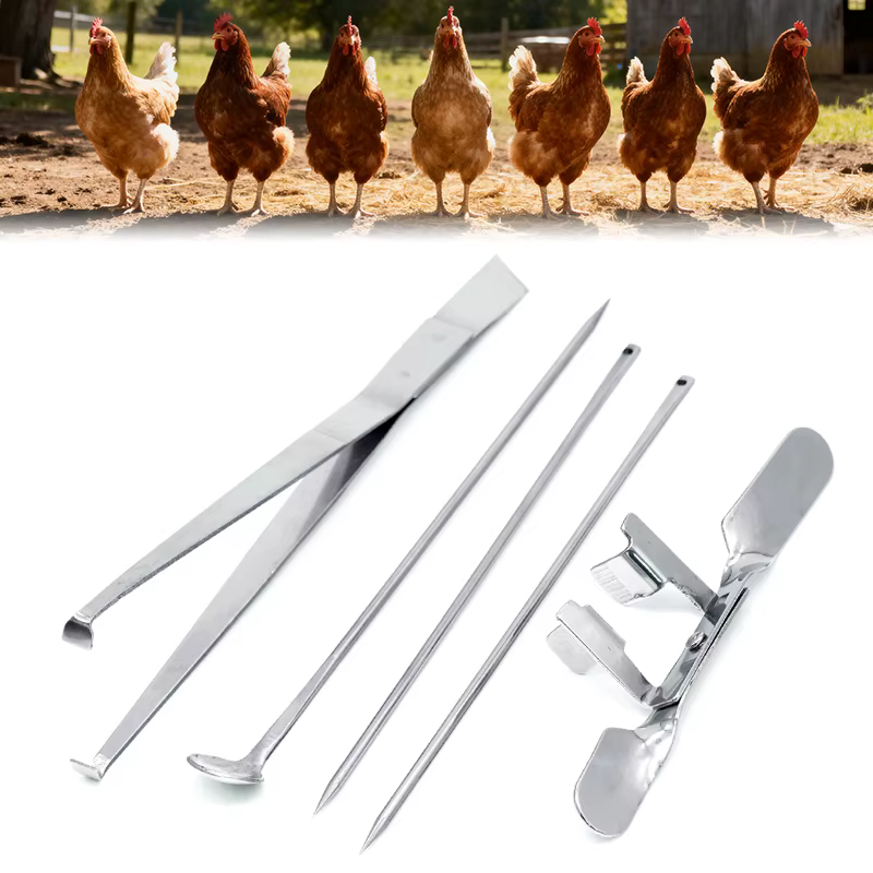 1 ensemble d'outils de casttration de poulet en acier inoxydable, grand poulet professionnel pour bébé poussin, couteaux de casttration rapide, outils de ferme de volaille