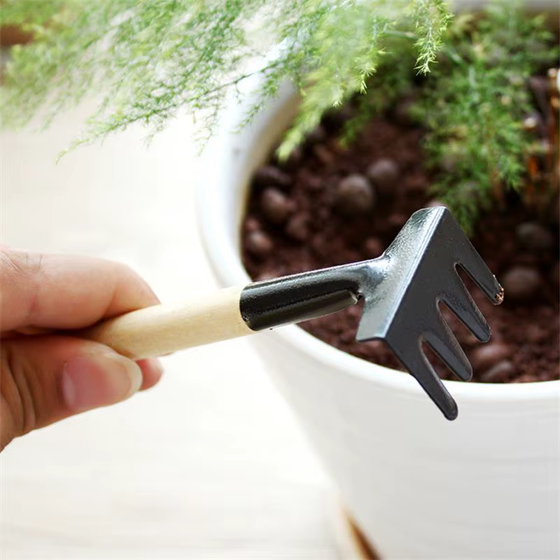 Ensemble de trois outils de jardinage, mini-outils de jardin, pelle multifonction, herse, pelle pour plantes domestiques, pelle à terre pour pinier