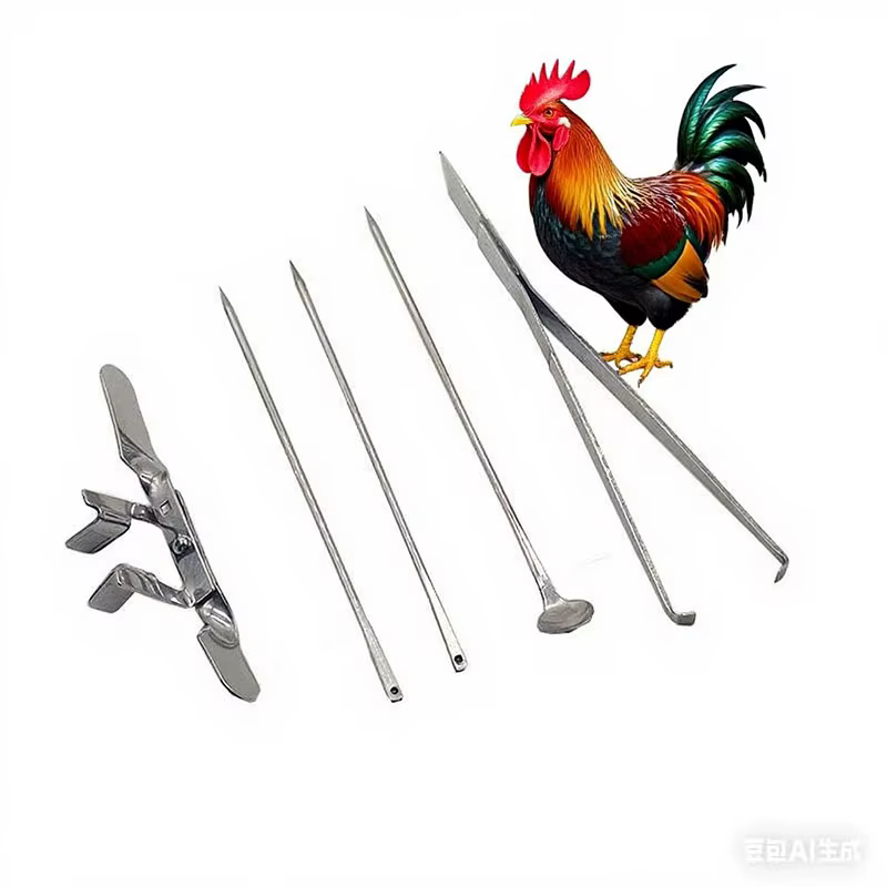 1 ensemble d'outils de Castration de poulet en acier inoxydable, grand poulet pour bébé poussin, coq, ensemble de cinq pièces, outils de ferme de volaille