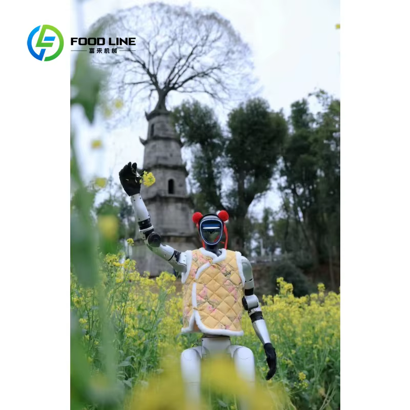 Robot humanoïde polyvalent personnalisé avec fonction d'évitement d'obstacles pour la navigation en intérieur et l'assistance dans les espaces publics