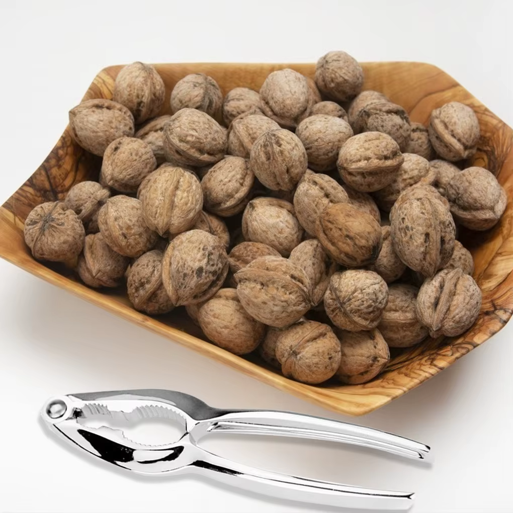Casse-noisette en alliage de Zinc, décortiqueur de noix, craquelin rapide, noix, amande, noix de pécan, gadgets de cuisine, accessoires d'outils, 1 pièce