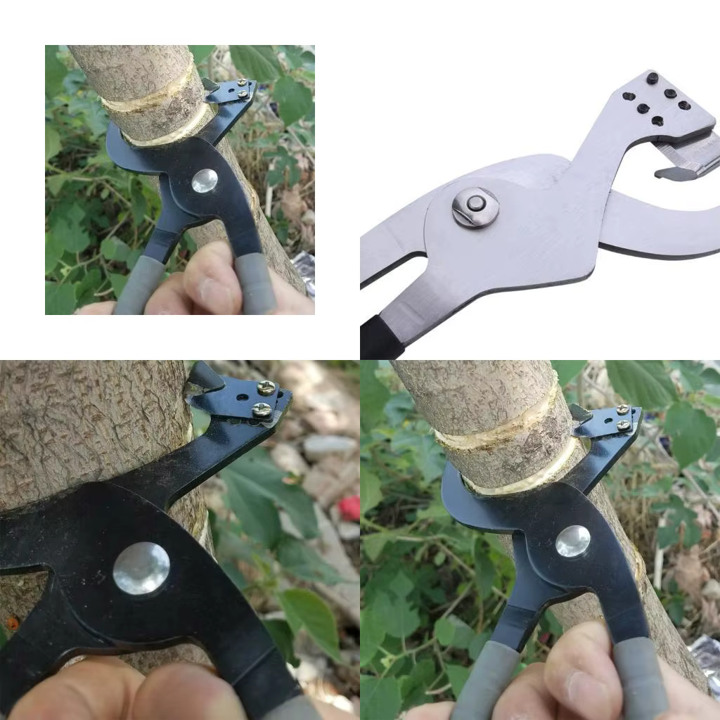 652f Plante à deux usines Cutter en alliage en alliage en alliage en acier Poignée non galet pour le jardinage