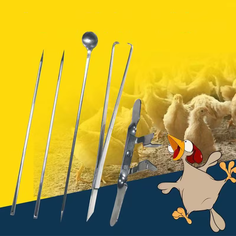 1 ensemble d'outils de Castration de poulet en acier inoxydable, grand poulet pour bébé poussin, coq, ensemble de cinq pièces, outils de ferme de volaille
