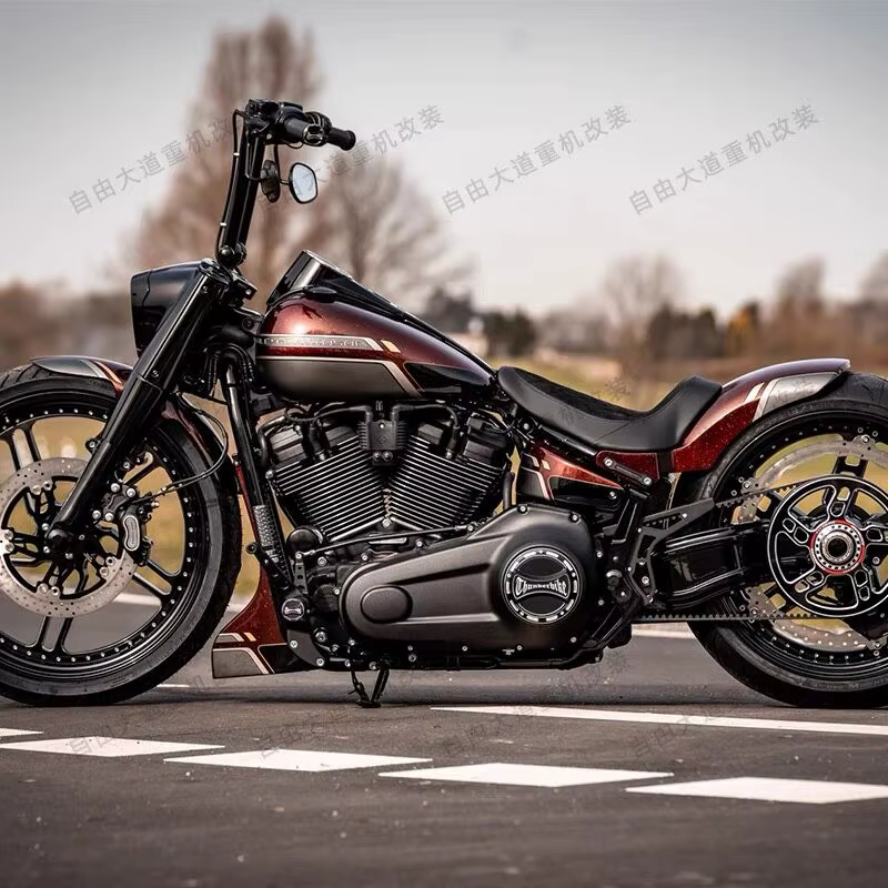 Couvercle de trou de cadre de moto, protection de carénage, capuchon de bouchons de cadre en aluminium, décoration pour HARatteignDavidson Flfb Men37Gordo Fxbb Fxselling