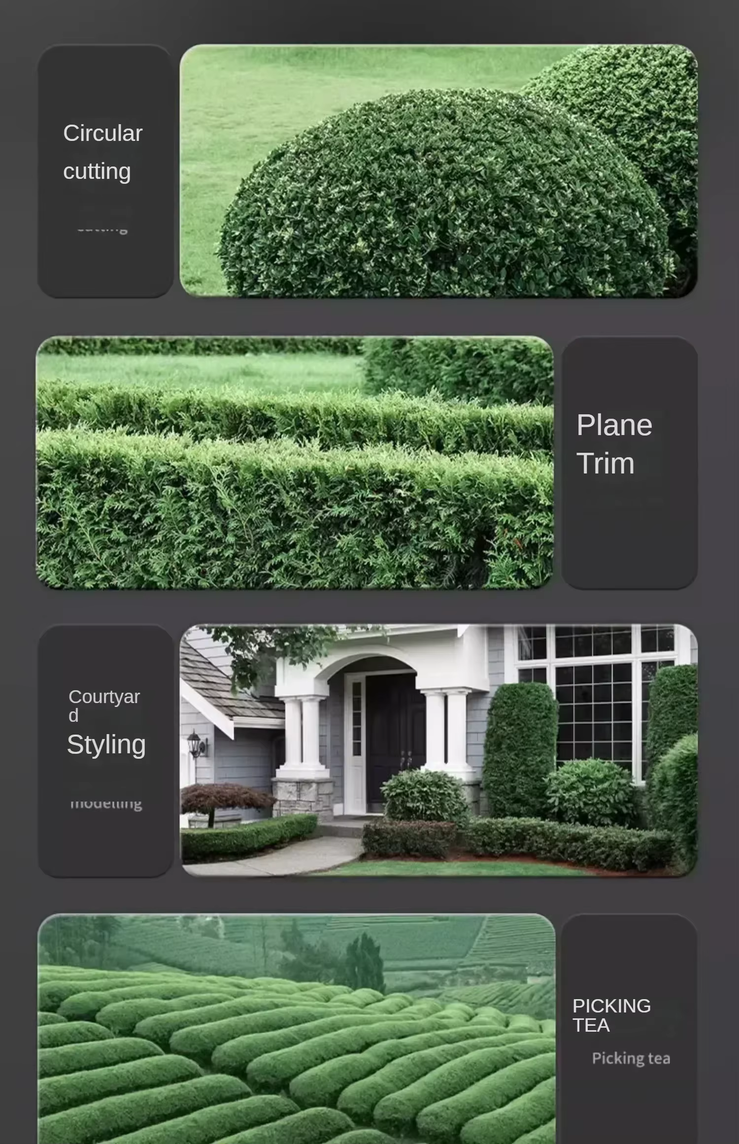 Taille-haie électrique portatif : sécateur sans fil pour jardin et pelouse