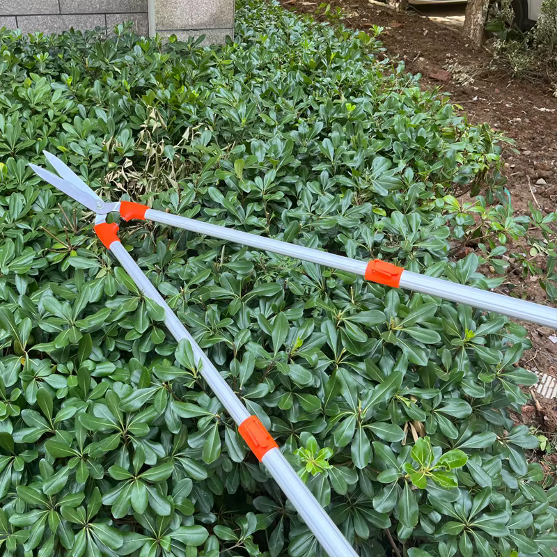 Sécateur étendu pour pelouses