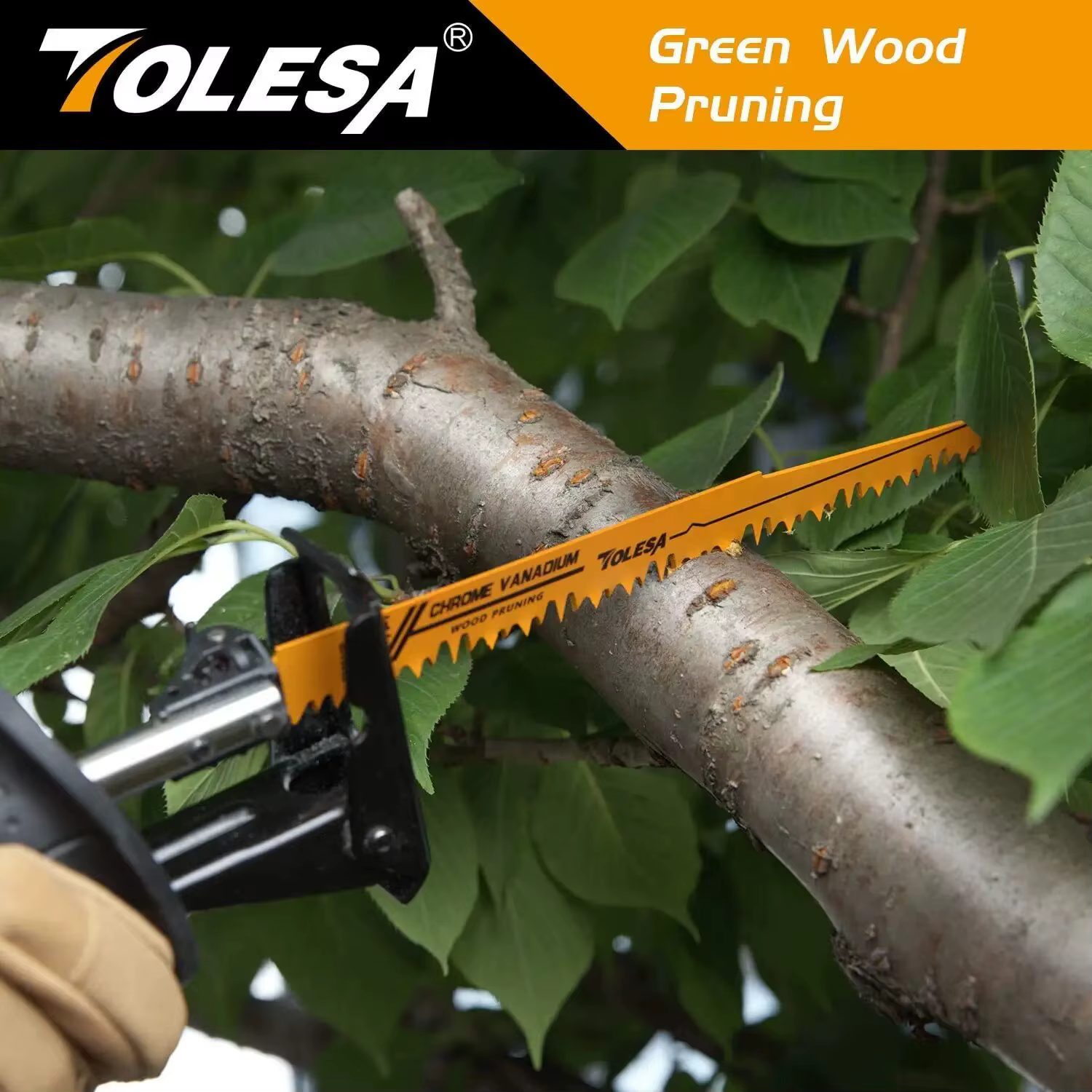 TOLESA 10 pièces lames de scie bi-métal alternatives pour l'élagage du bois PVC coupe métal lourd