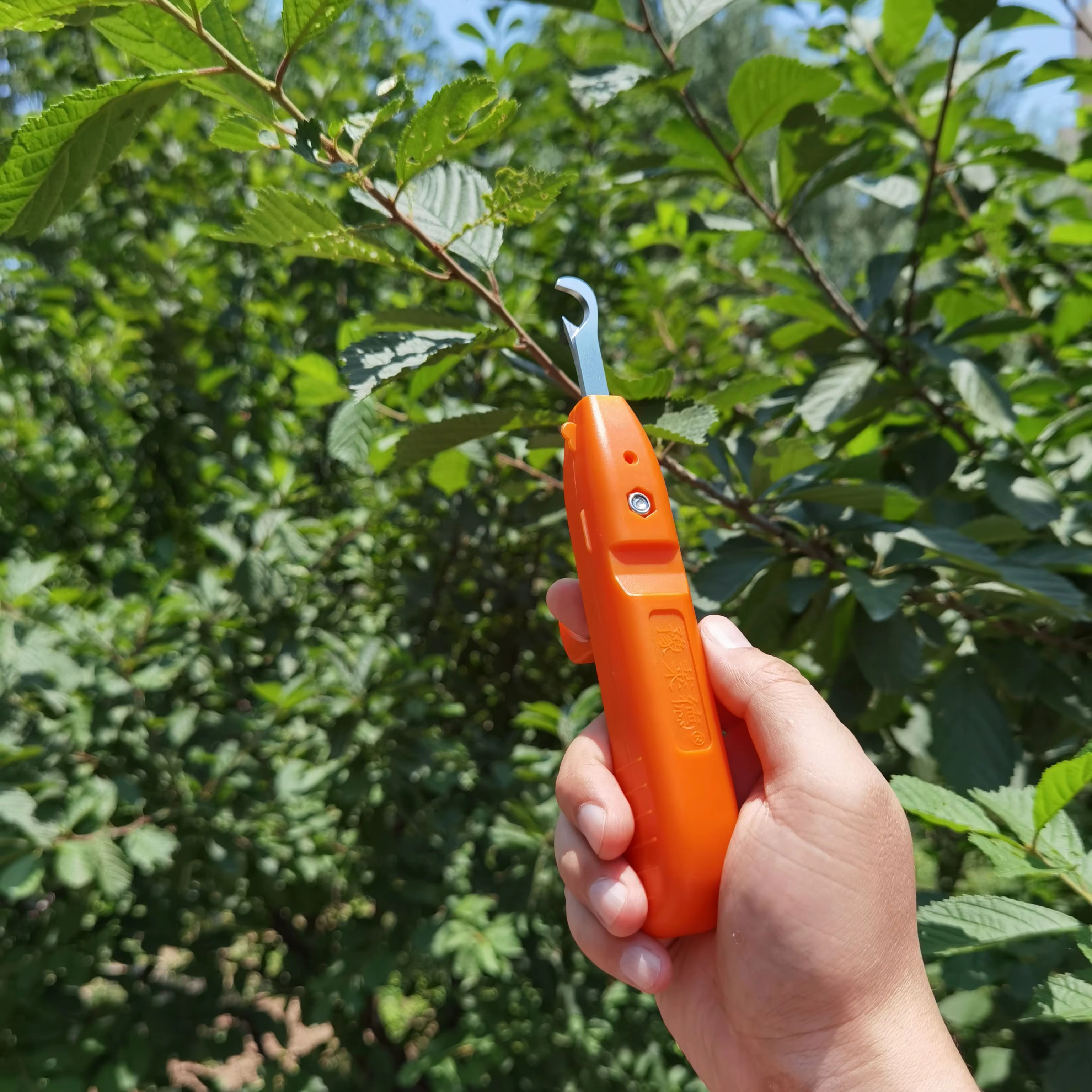 Outil de cueillette multifonctionnel pour la récolte agricole et la taille des jardins