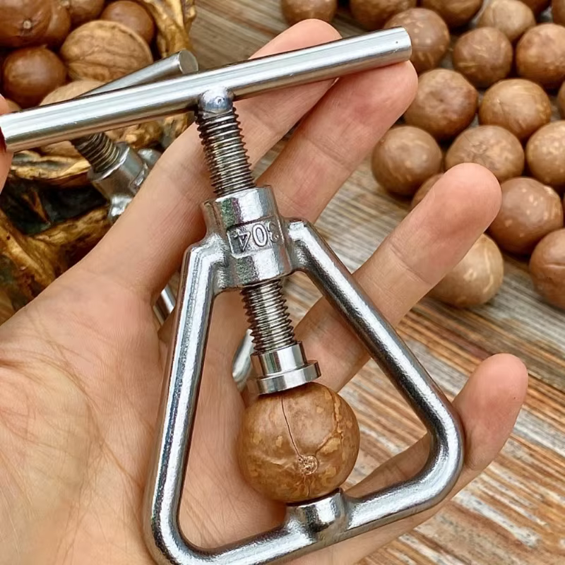 Multifonction fissure amande noix noix noix de pécan noisette noisette Filbert noix cuisine casse-noisette coquille pince ouvre outil pince craquelin